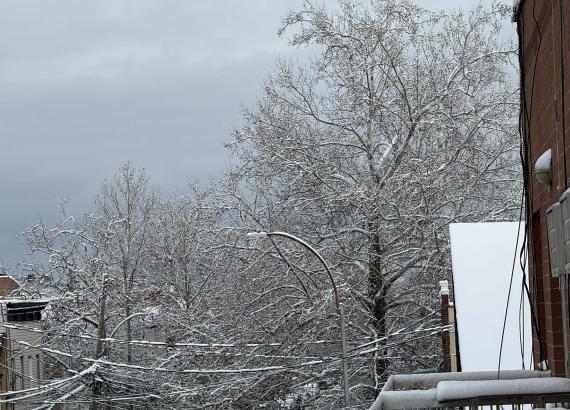 न्यूयोर्क सिटीमा यसवर्षकै पहिलो हिमपात, विहानभर हवाईसेवा प्रभावित